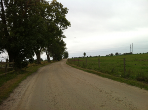 IMG_1499_140926