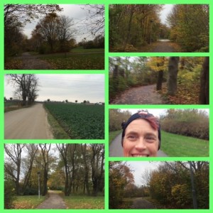collage_141108