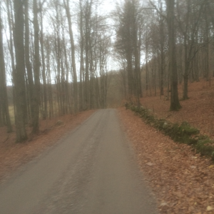 frostavallen_trail__1862_141115_9