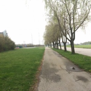 IMG_2458_150425