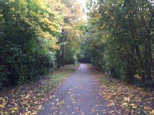 IMG_3056_151018