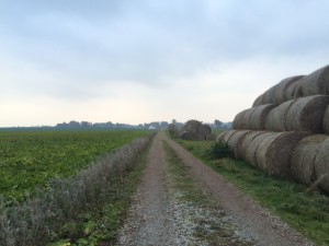 IMG_3057_151018