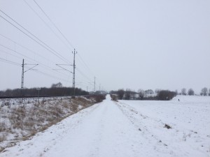 IMG_3323_160123