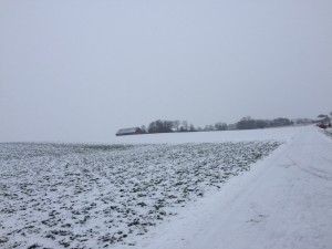 IMG_3324_160123