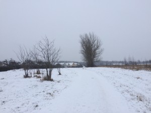 IMG_3325_160123