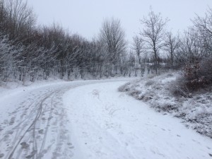 IMG_3326_160123
