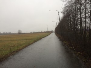 IMG_3345_160201