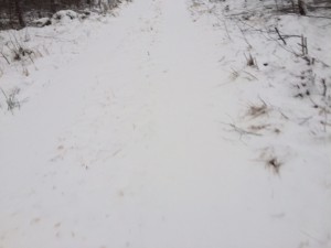 IMG_3387_160213