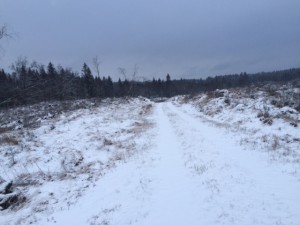 IMG_3391_160213