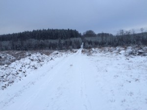 IMG_3392_160213