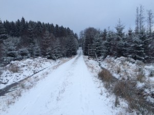 IMG_3393_160213