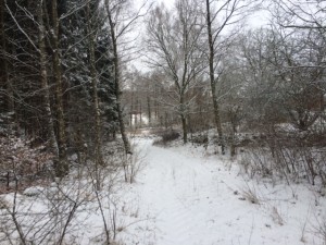 IMG_3395_160213